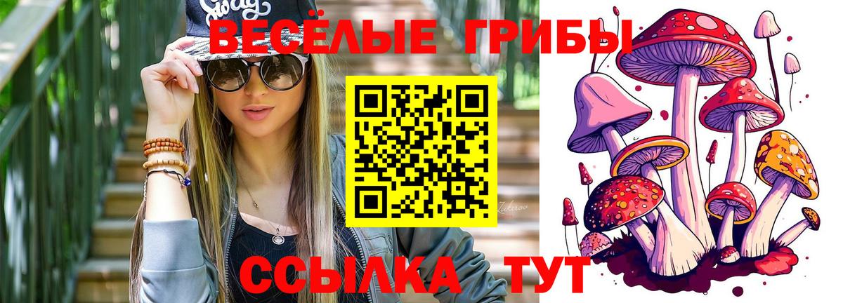 Псилоцибиновые грибы Cubensis  Вход с VPN  Тавда 