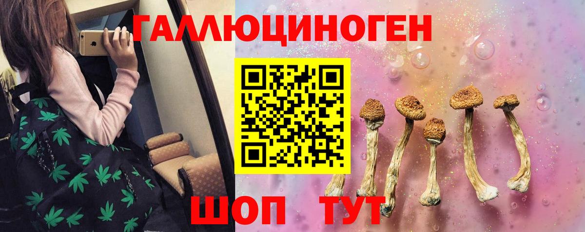 Псилоцибиновые грибы GOLDEN TEACHER Тавда